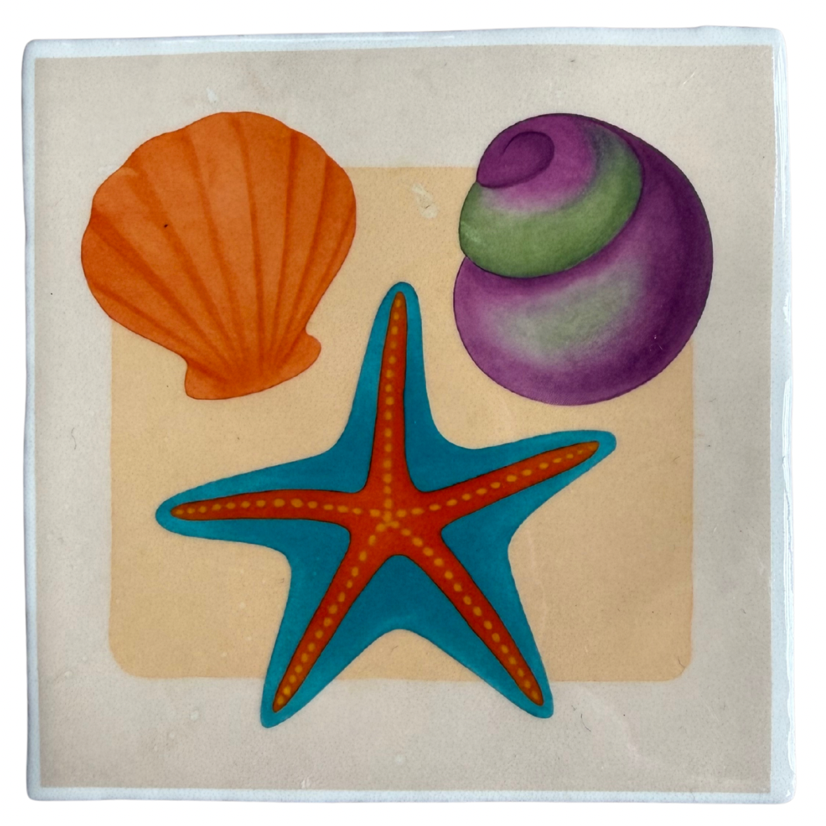 Tegeltje schelpjes