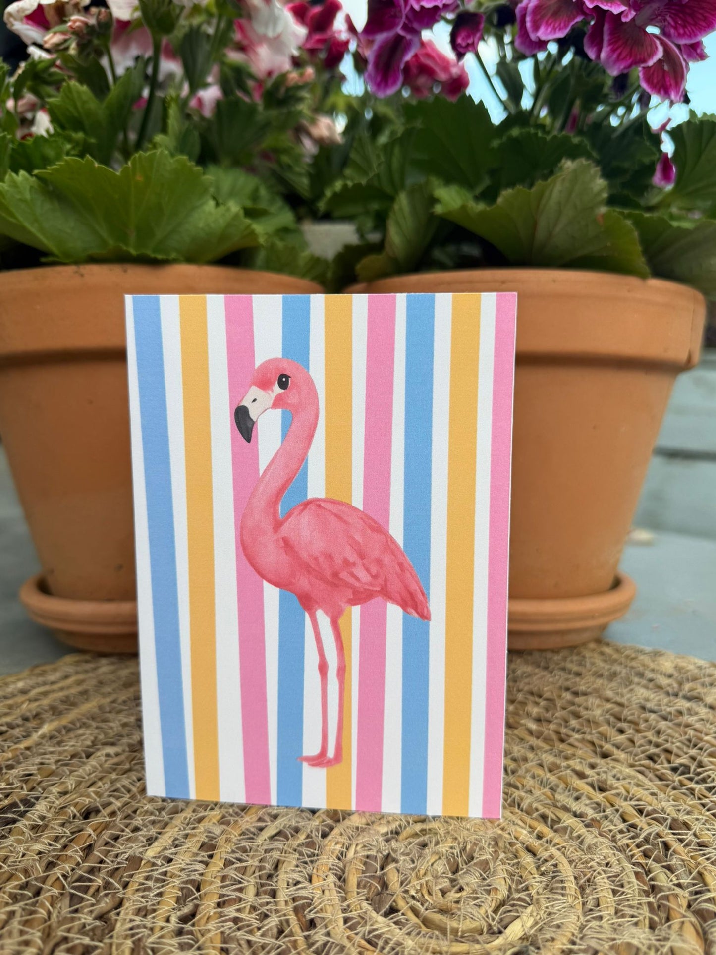 'Blanco Flamingo' Kaart