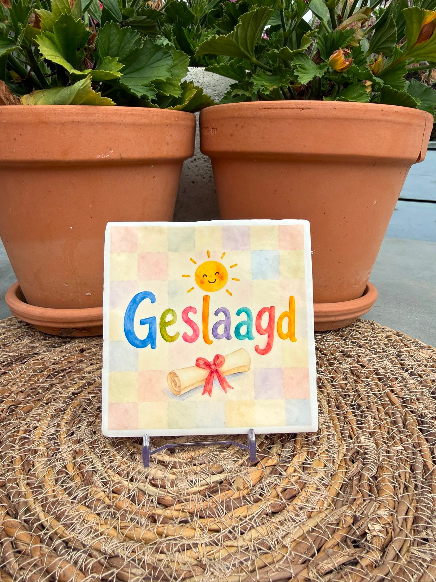 Tegeltje 'Geslaagd'