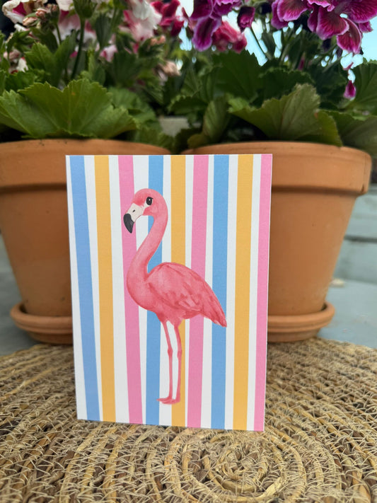 'Blanco Flamingo' Kaart