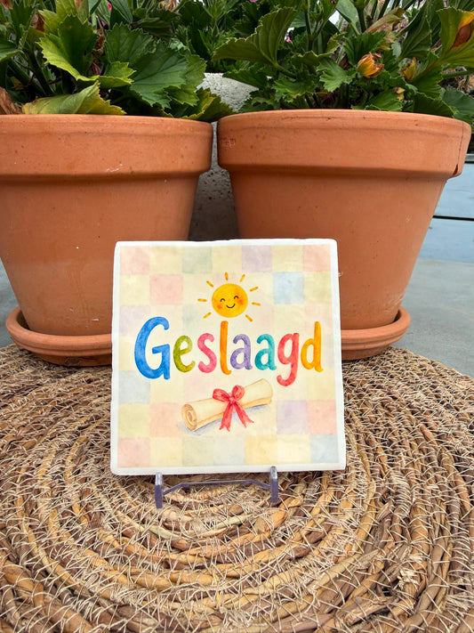 Tegeltje 'Geslaagd'