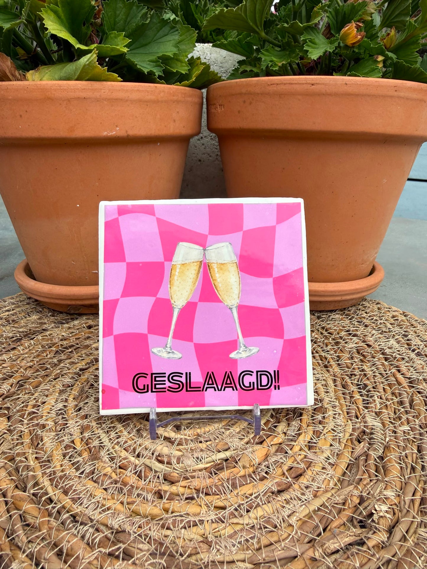Tegeltje 'Geslaagd proost'